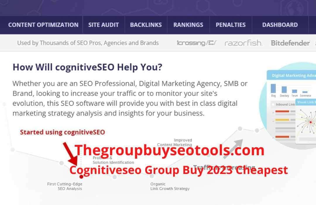 Cognitiveseo Group Buy 2023 Cheapest